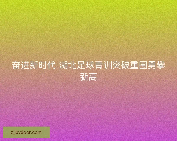 奋进新时代 湖北足球青训突破重围勇攀新高